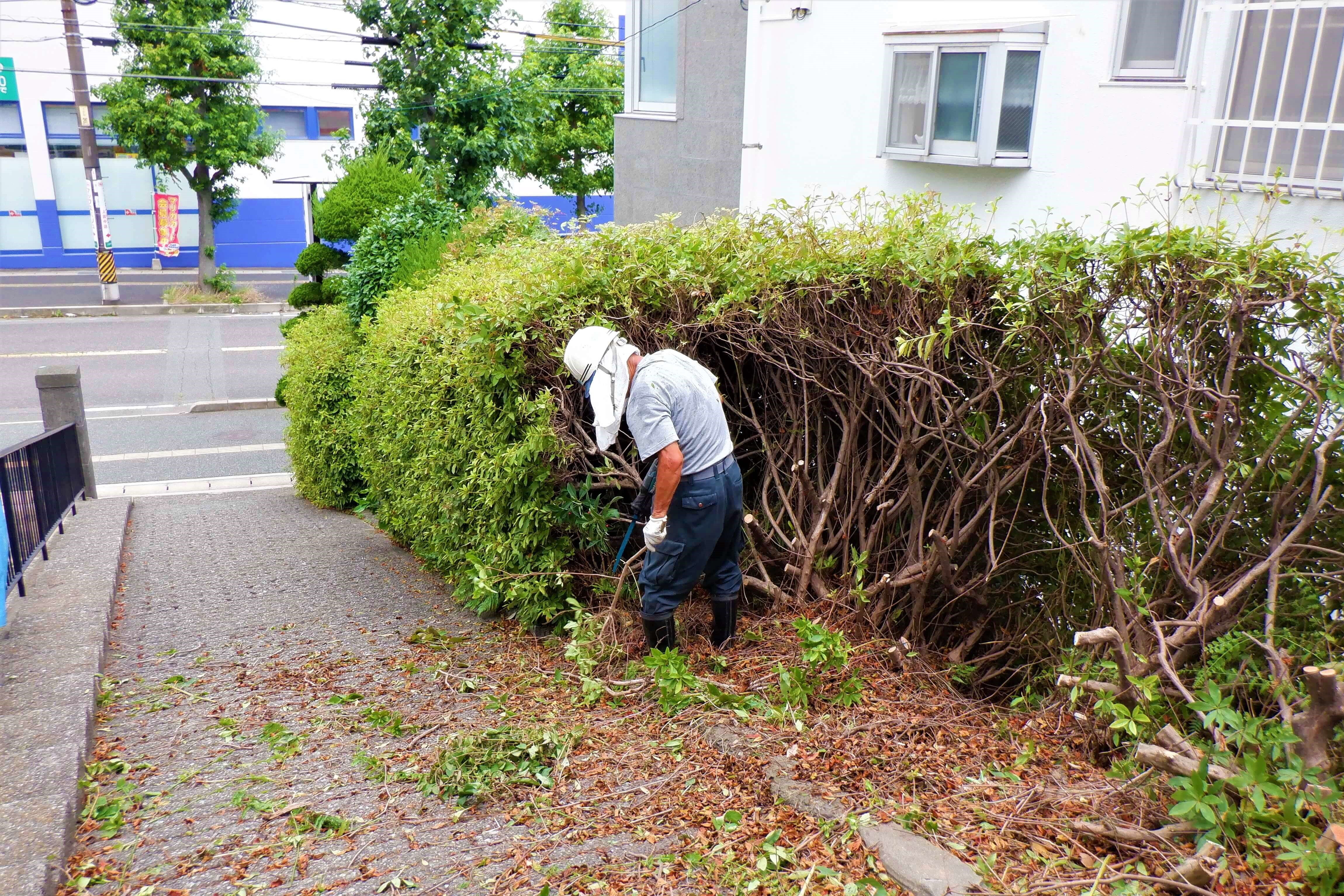草刈り・伐採工事